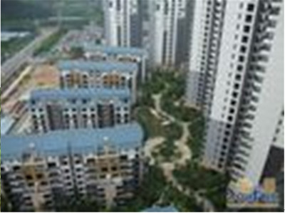 東莞珠佳房地產(chǎn) 專(zhuān)業(yè)房地產(chǎn)代理服務(wù)，助力投資與登記無(wú)憂(yōu)